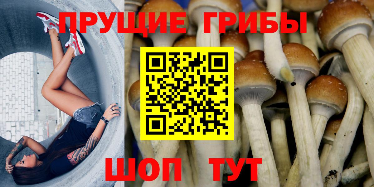 Луга  Псилоцибиновые грибы GOLDEN TEACHER  Вход с VPN 